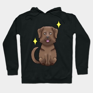 Brown chesapeake bay retriever Hoodie